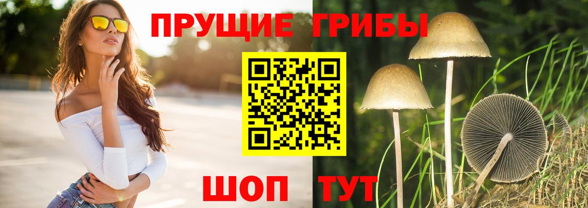 Барнаул  Псилоцибиновые грибы мицелий  Вход с VPN 