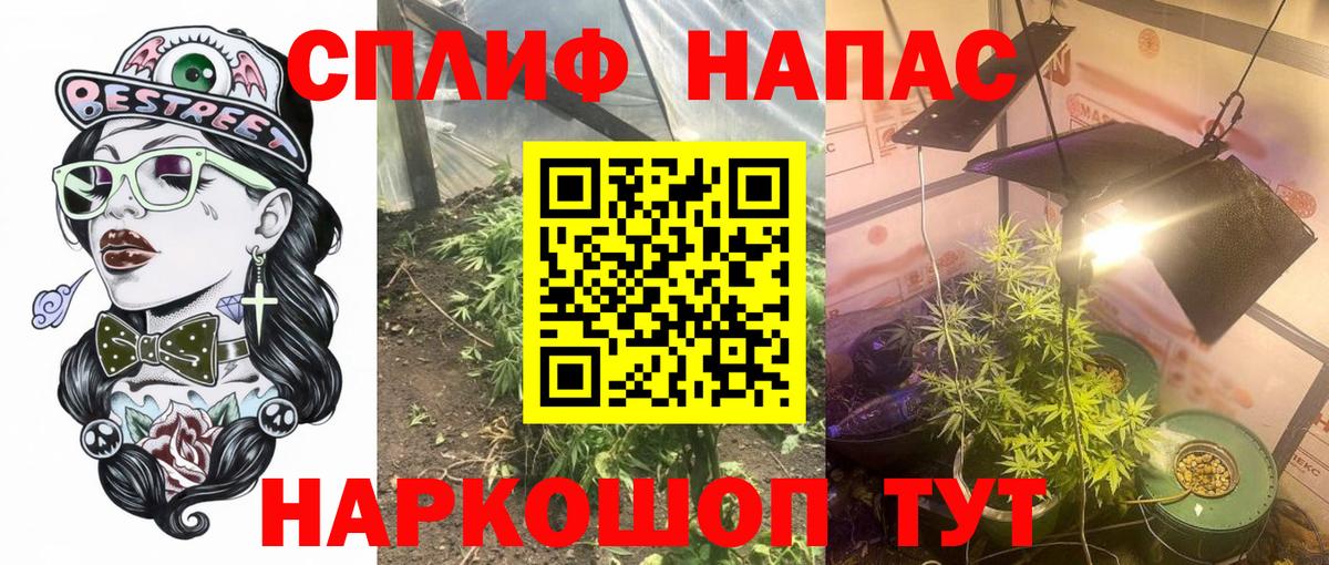 Бошки марихуана Bruce Banner  Вход с VPN  Барнаул  МАРИХУАНА SATIVA & INDICA  Шишки марихуана THC 21%  Бошки марихуана Bruce Banner 